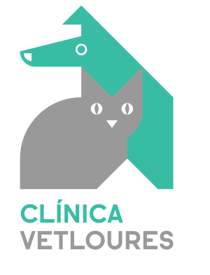 logo png